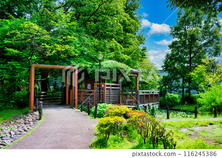 杉併區雷丁森林公園、杉併區中央圖書館風景 杉併區雷丁森林公園、杉併區中央圖書館風景 116245386