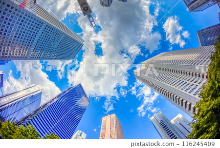 Looking up at the skyscrapers 116245409