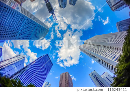 Looking up at the skyscrapers Looking up at the skyscrapers 116245411