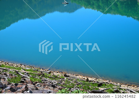 新井水壩 翡翠綠 新井水壩 湯澤湖町 新井水壩 翡翠綠 新井水壩 湯澤湖町 116245482