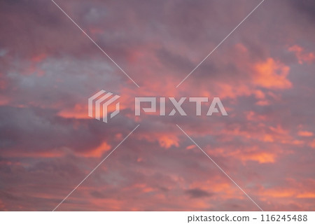 一片染紅的雲 116245488