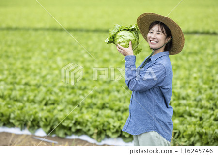Women with harvested vegetables Women with harvested vegetables 116245746