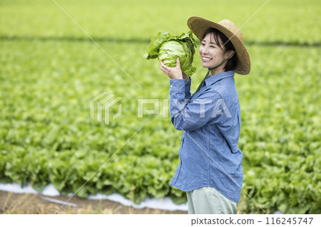 Women with harvested vegetables Women with harvested vegetables 116245747