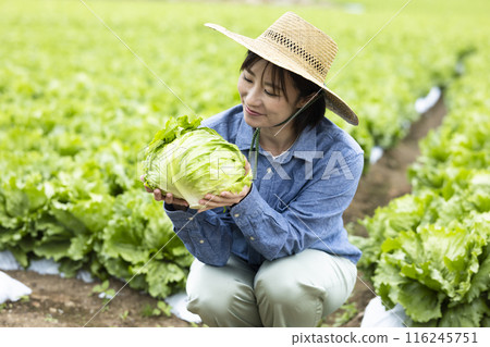 Women with harvested vegetables Women with harvested vegetables 116245751