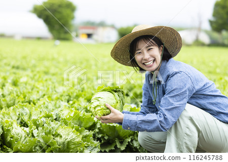 婦女與收穫的蔬菜 116245788