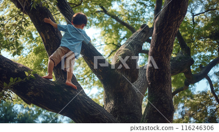 Children climbing trees 116246306