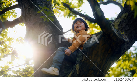 Children climbing trees 116246307