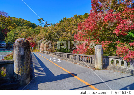 長瀞橋橫跨山梨縣甲府市和甲斐市,是昇仙峽的入口,秋天從甲府市一側看去。 長瀞橋橫跨山梨縣甲府市和甲斐市,是昇仙峽的入口,秋天從甲府市一側看去。 116246388
