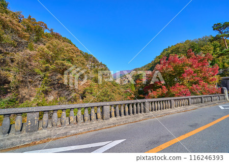 長瀞橋橫跨山梨縣甲府市和甲斐市，是昇仙峽的入口，秋天從甲斐市一側看去。 116246393