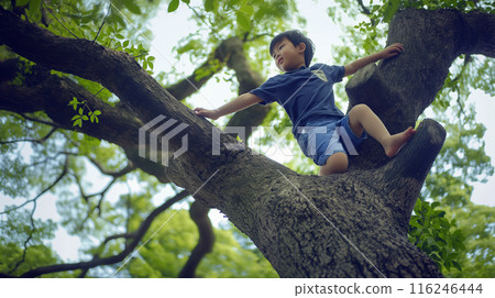 孩子們爬樹 孩子們爬樹 116246444