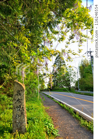 [岐阜縣] 中津川市福岡市257號國道沿線的浦木曾街道上的石碑，綠意盎然。 116246554