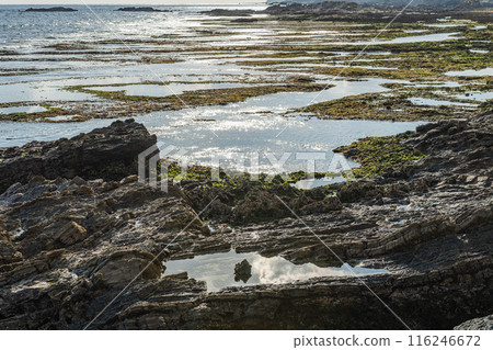 屋久島最大的凸起珊瑚礁，春濱海灘（冬季） 116246672