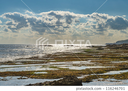 Yakushima's largest raised coral reef, Harutahama Beach (Winter) 116246701