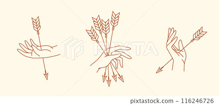 hand and arrow line art illustration hand and arrow line art illustration 116246726