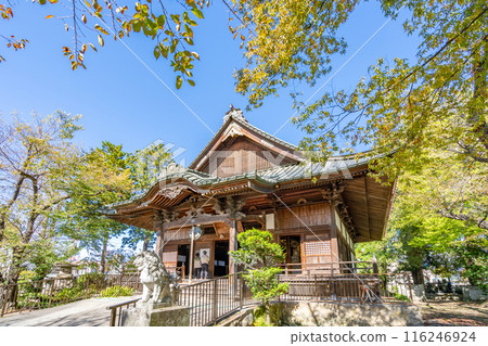 成田山不動明道 116246924