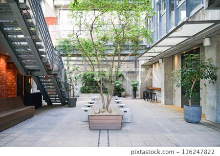 office building office building 116247822