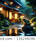 Rainy night 116248286