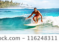 A person surfing in a tropical country 116248311