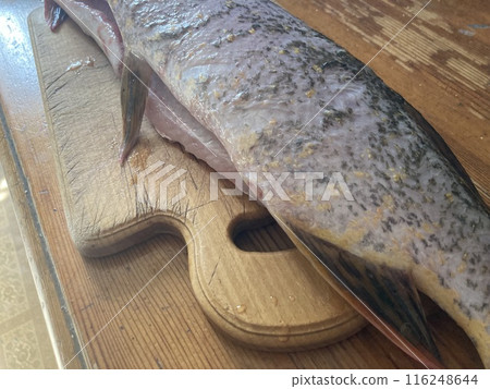 Cutting freshwater predatory fish pike Cutting freshwater predatory fish pike 116248644