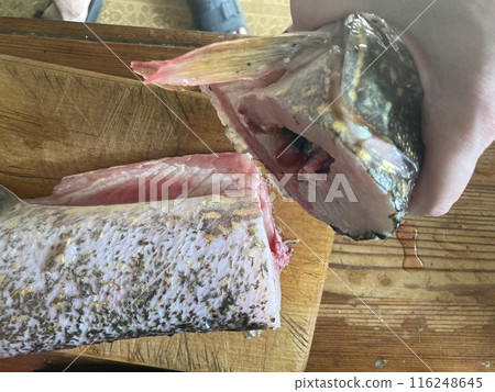 Cutting freshwater predatory fish pike Cutting freshwater predatory fish pike 116248645