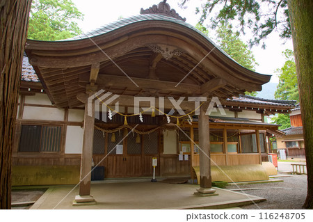 Golden Palace 116248705