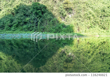 乘船遊覽越南河內的山谷河,清晨欣賞荷花和睡蓮 乘船遊覽越南河內的山谷河,清晨欣賞荷花和睡蓮 116248821