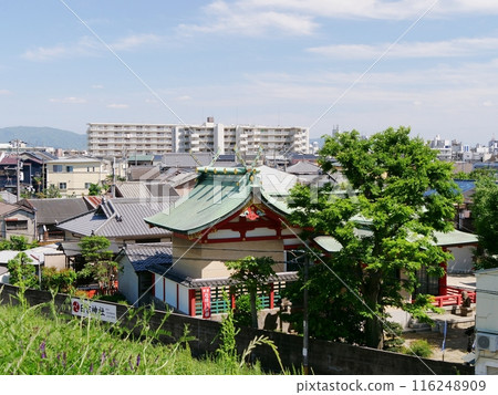 大阪淀川日吉神社（淀川南堤旁赤川附近）（初夏） 116248909