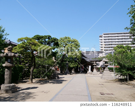 Omiya (shrine), Osaka city, worship hall (Higashiyodogawa ward) (early summer) 116248911