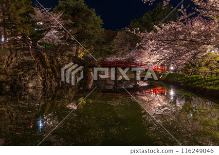 Top 100 Cherry Blossom Spots in Japan: Aomori, Hirosaki Park, Illuminated Cherry Blossoms at Night 116249046