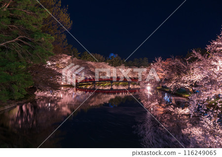 Top 100 Cherry Blossom Spots in Japan: Aomori, Hirosaki Park, Illuminated Cherry Blossoms at Night 116249065