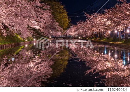 Top 100 Cherry Blossom Spots in Japan: Aomori, Hirosaki Park, Illuminated Cherry Blossoms at Night 116249084