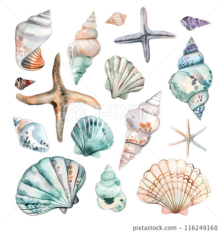 Set of watercolor seashells isolated on white background. Vector illustration. Set of watercolor seashells isolated on white background. Vector illustration. 116249168