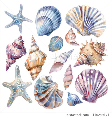 Set of watercolor seashells isolated on white background. Vector illustration. Set of watercolor seashells isolated on white background. Vector illustration. 116249171