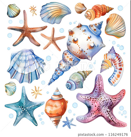 Set of watercolor seashells isolated on white background. Vector illustration. 116249176