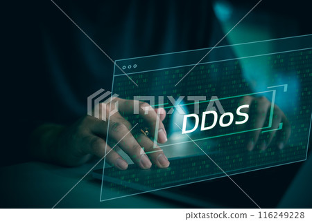 A person is typing on a laptop with the word Ddos on the screen 116249228