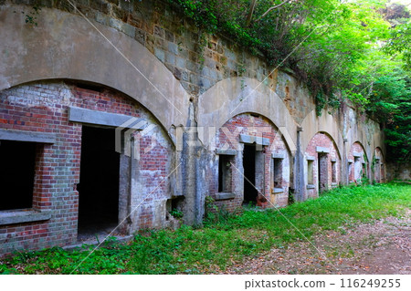 Princess Gama mountain trunk ruins 116249255