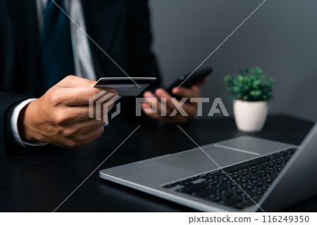 Business man holding credit card and using laptop. Online internet shopping payment. Finance and banking concept.. 116249350