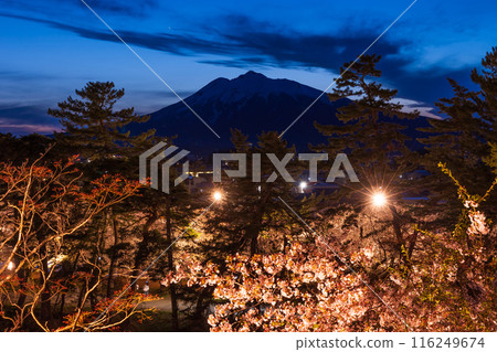 Top 100 Cherry Blossom Spots in Japan: Aomori, Hirosaki Park, Illuminated Cherry Blossoms at Night Top 100 Cherry Blossom Spots in Japan: Aomori, Hirosaki Park, Illuminated Cherry Blossoms at Night 116249674