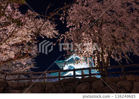 日本賞櫻名所100號選:青森弘前公園 夜間櫻花點燈 日本賞櫻名所100號選:青森弘前公園 夜間櫻花點燈 116249685