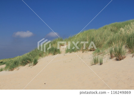 Dunes 116249869