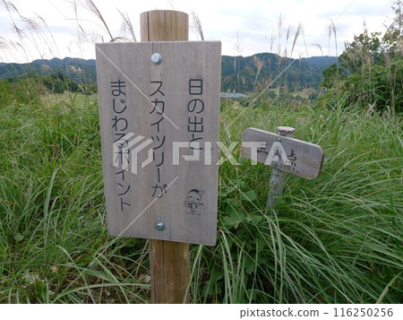 Mt. Ishimori (Moroyama Town, Saitama Prefecture) Mt. Ishimori (Moroyama Town, Saitama Prefecture) 116250256
