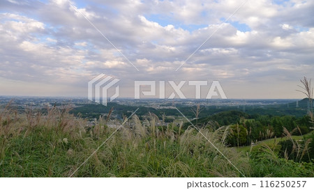 Mt. Ishimori (Moroyama Town, Saitama Prefecture) 116250257