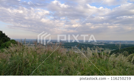 Mt. Ishimori (Moroyama Town, Saitama Prefecture) 116250259