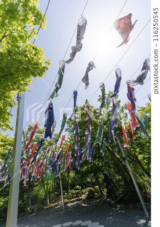 Carp streamers at Houtokuji Temple Carp streamers at Houtokuji Temple 116250545