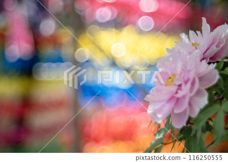 Colorful background with pink flowers 116250555