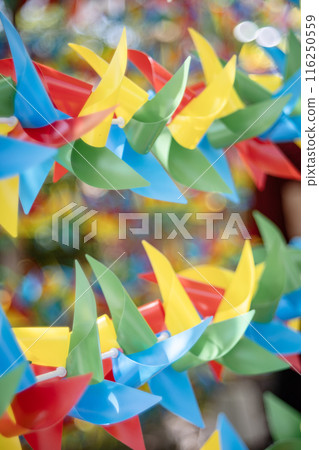 The pinwheel of Houtokuji Temple The pinwheel of Houtokuji Temple 116250559