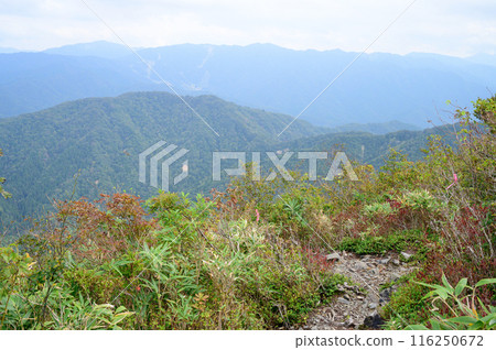從山徑的一個看法 116250672