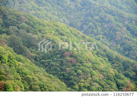 從山徑的一個看法 116250677