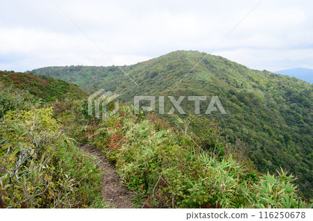 從山徑的一個看法 從山徑的一個看法 116250678
