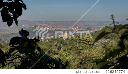 Scenic View of a Town Amidst Lush Green Foliage Scenic View of a Town Amidst Lush Green Foliage 116250774